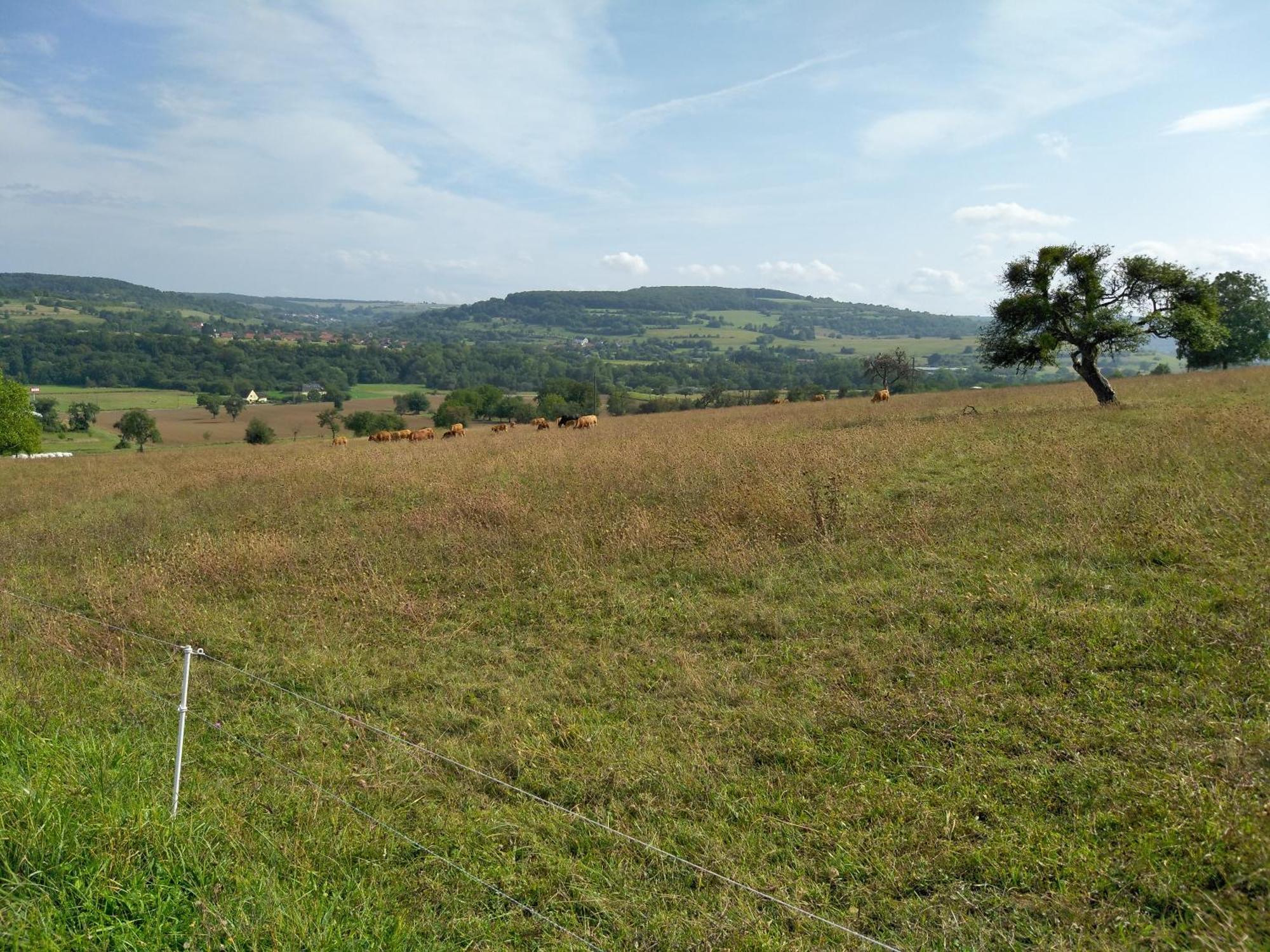Camping Walsheim Gersheim Екстериор снимка